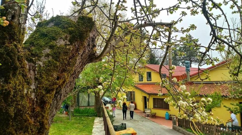 La Ginestra Farm stay
